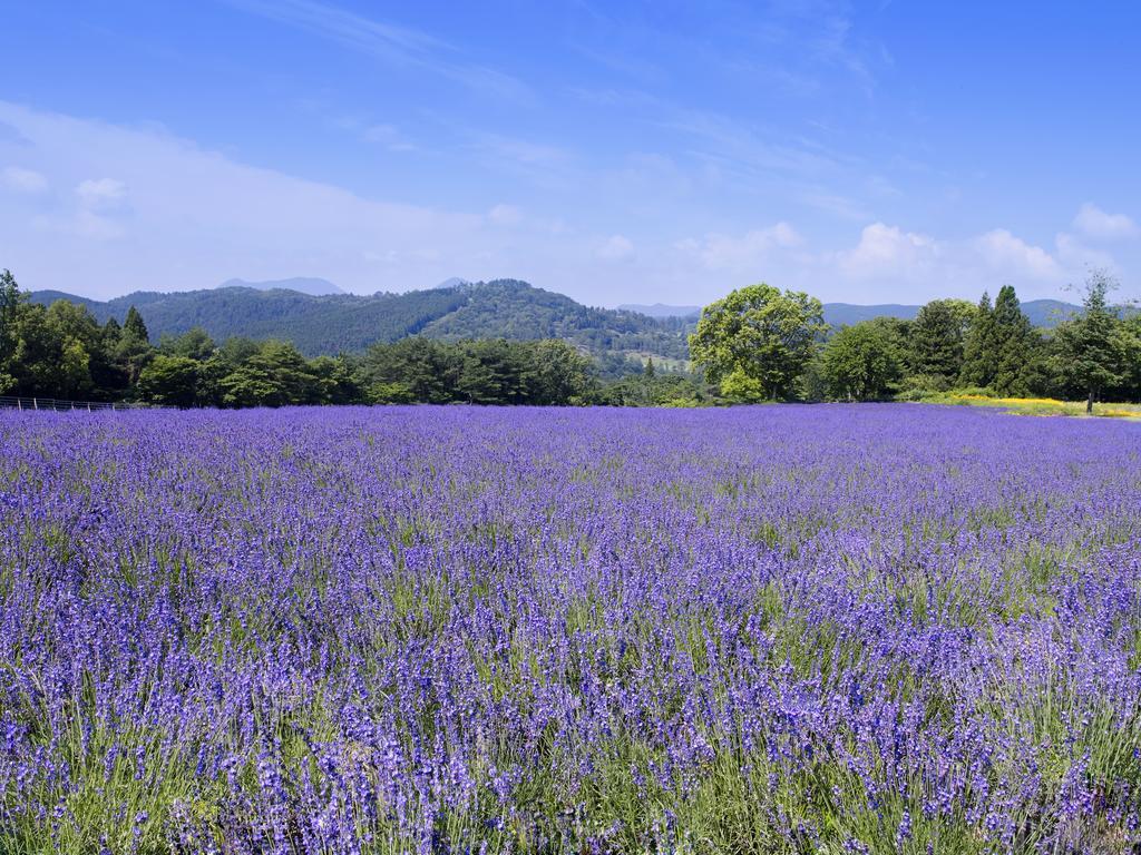Menard Aoyama Resort: Wafukan Utatsukasa Iga Екстер'єр фото